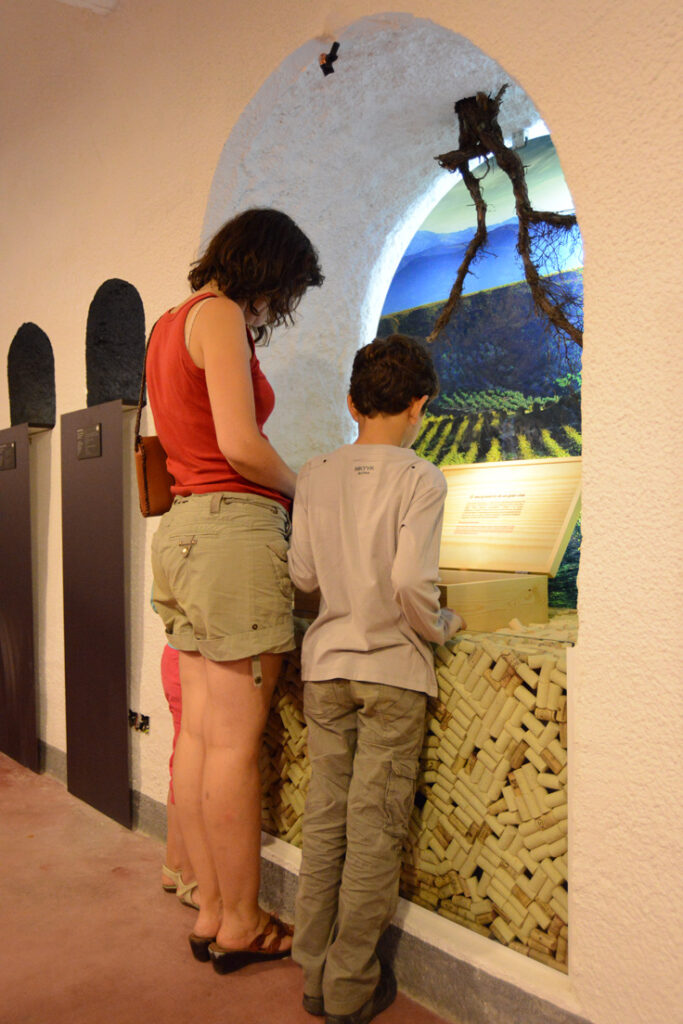 Galería Sala 4 - Tropolis 7