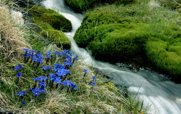 Galería Sierra Nevada - Tropolis 3